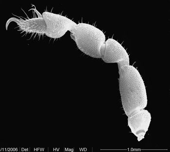 Media type: image;   Invertebrate Zoology 134690